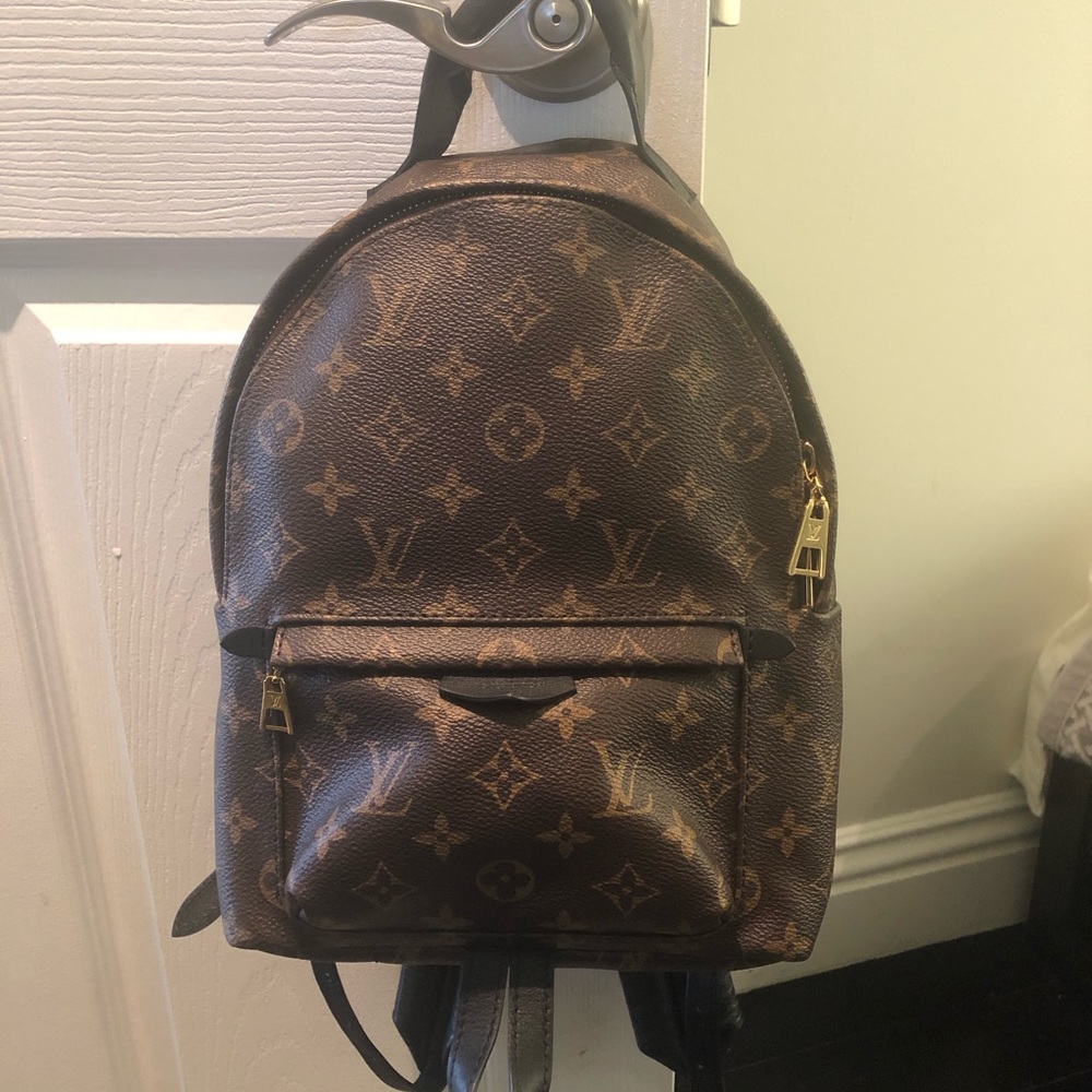 Authentic Louis Vuitton Palm Springs PM Backpack
